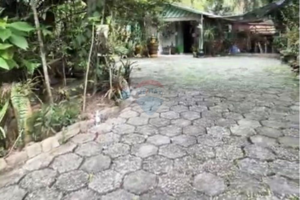 Terreno - Venda - Gravatal , Santa Catarina - WhatsApp Image 2025-10-20 at 17.32.57 (5).jpeg - 590461027-11