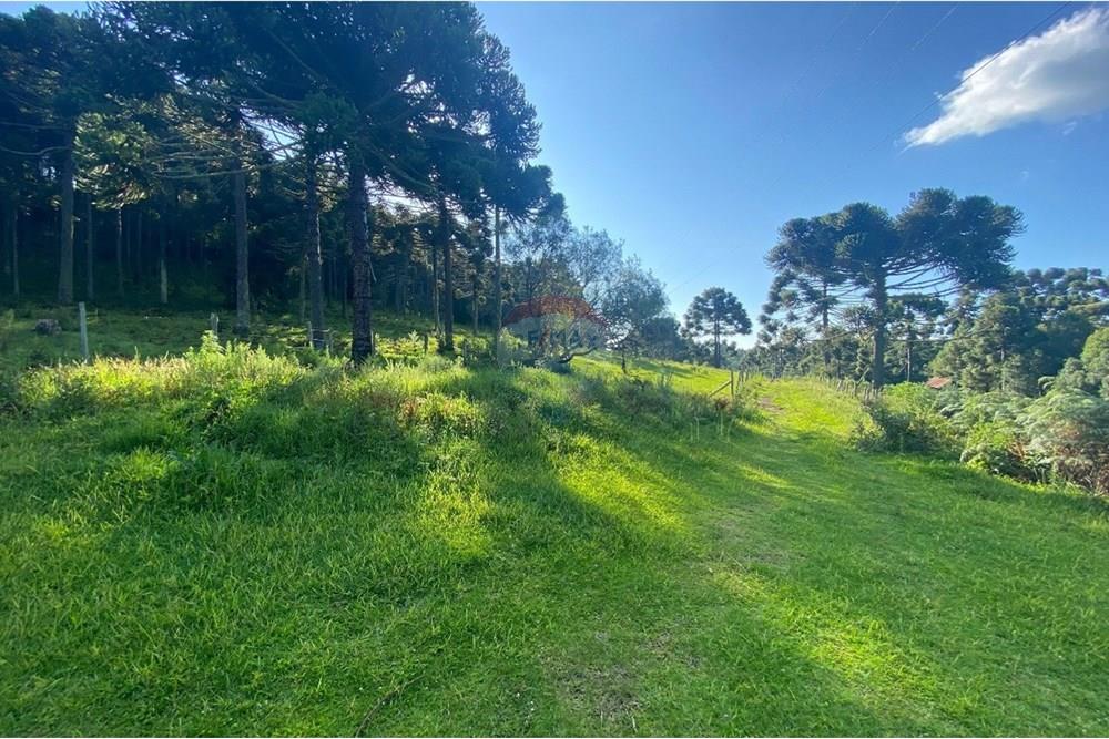 Chácara / Sítio / Fazenda - Venda - Painel , Santa Catarina - WhatsApp Image 2025-05-09 at 11.33.21 (3).jpeg - 590071044-16