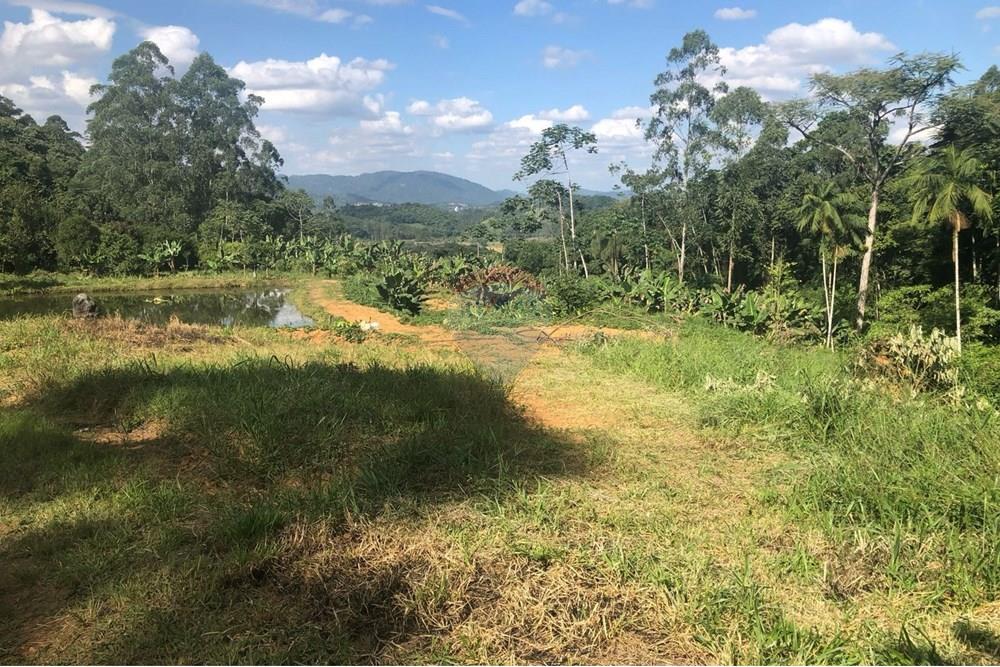 Terreno - Venda - Timbó , Santa Catarina - FOTO 04 - .JPG - 590211051-24