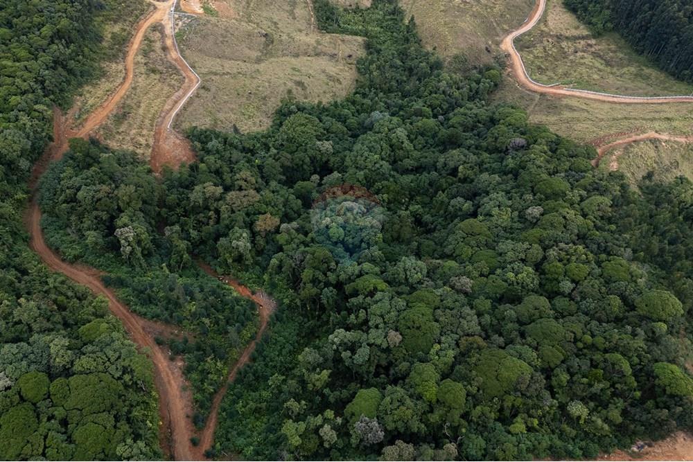 Chácara / Sítio / Fazenda - Venda - São Martinho , Santa Catarina - DJI_20250711082641_0728_D_DJI4.jpg - 590461004-17