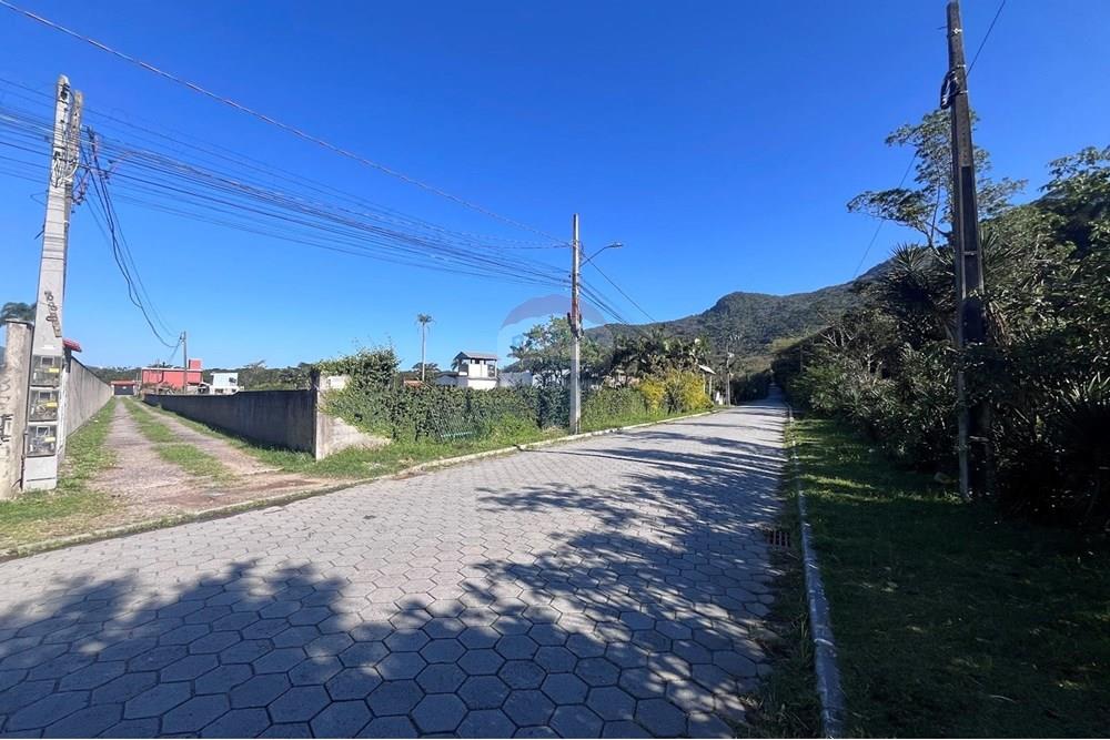 Terreno - Venda - Florianópolis , Santa Catarina - IMG_6354.jpg - 590101035-10