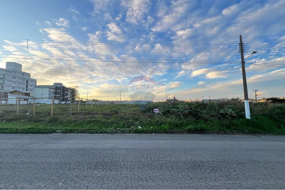 Terreno - Venda - Lages , Santa Catarina - WhatsApp Image 2025-06-09 at 13.52.41.jpeg - 590071009-103