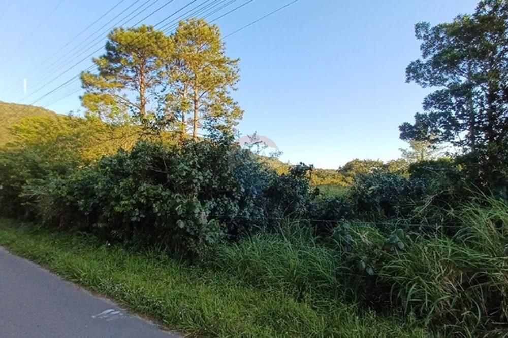 Terreno - Venda - Florianópolis , Santa Catarina - Imagem do WhatsApp de 2025-05-15 à(s) 17.03.30_0b3ee2c5.jpg - 590101001-59