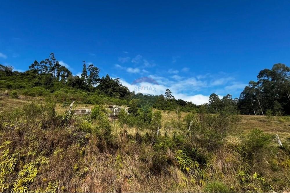 Terreno - Venda - Sombrio , Santa Catarina - WhatsApp Image 2025-06-11 at 17.25.48.jpeg - 590491002-67