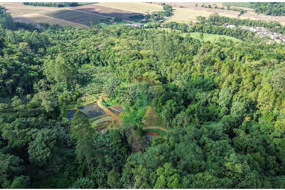 Terreno - Venda - Timbó , Santa Catarina - FOTO PRO  05 - .JPG - 590211051-24