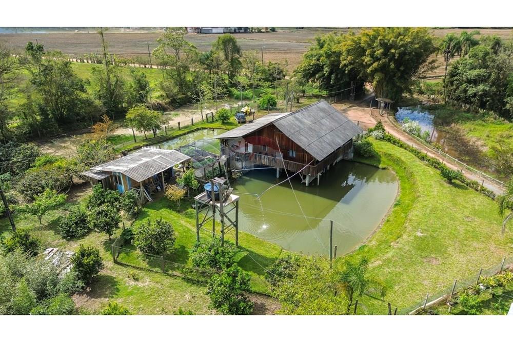 Chácara / Sítio / Fazenda - Venda - Doutor Pedrinho , Santa Catarina - WhatsApp Image 2025-09-16 at 16.40.29 (1).jpeg - 590211064-3