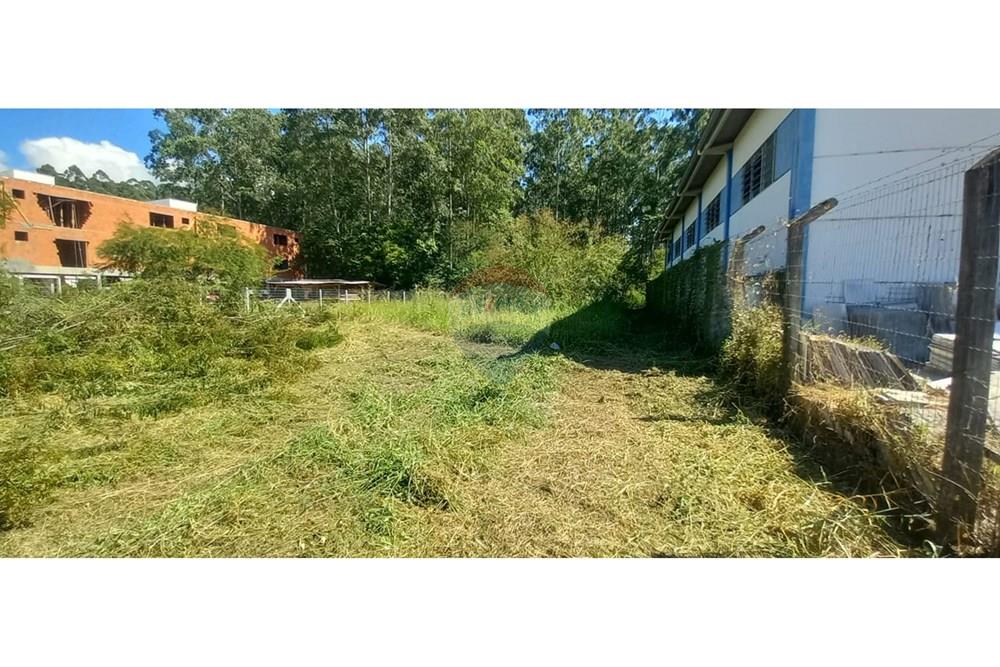 Terreno - Venda - Timbó , Santa Catarina - WhatsApp Image 2025-03-20 at 13.39.24.jpeg - 590211033-46