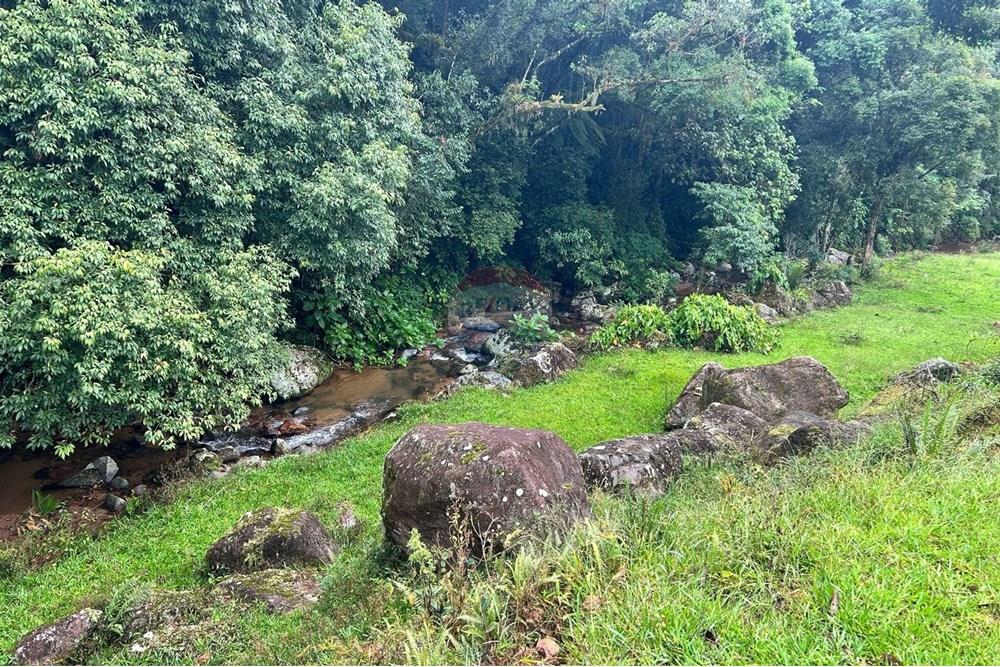 Terreno - Venda - Rio dos Cedros , Santa Catarina - 92839d12-1400-4e5e-846f-e6402f6796e1.jpeg - 590211035-43