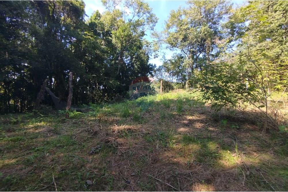 Chácara / Sítio / Fazenda - Venda - Indaial , Santa Catarina - WhatsApp Image 2025-04-23 at 14.49.30 (1).jpeg - 590301044-30