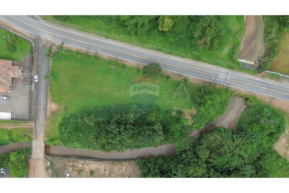 Terreno - Venda - Benedito Novo , Santa Catarina - Imagem do WhatsApp de 2025-02-14 à(s) 13.13.48_f4bcf4f6.jpg - 590211007-95