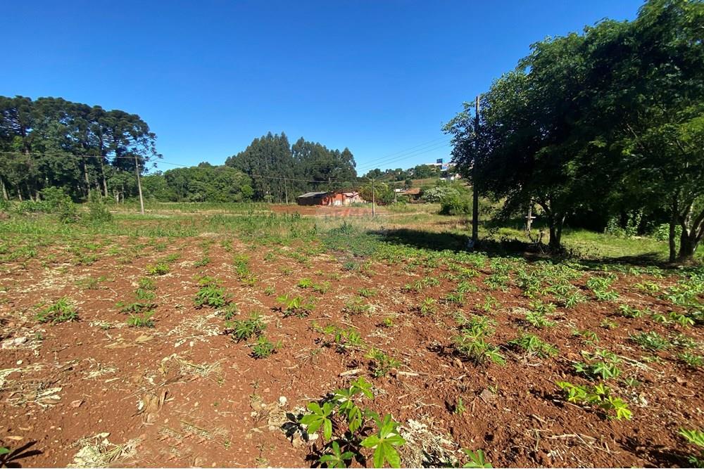 Terreno - Venda - Xaxim , Santa Catarina - 2.jpg - 590421016-5