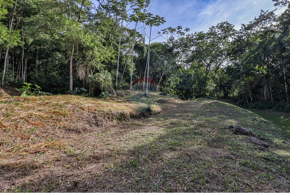 Terreno - Venda - Timbó , Santa Catarina - WhatsApp Image 2025-05-06 at 20.16.28 (4).jpeg - 590211046-8