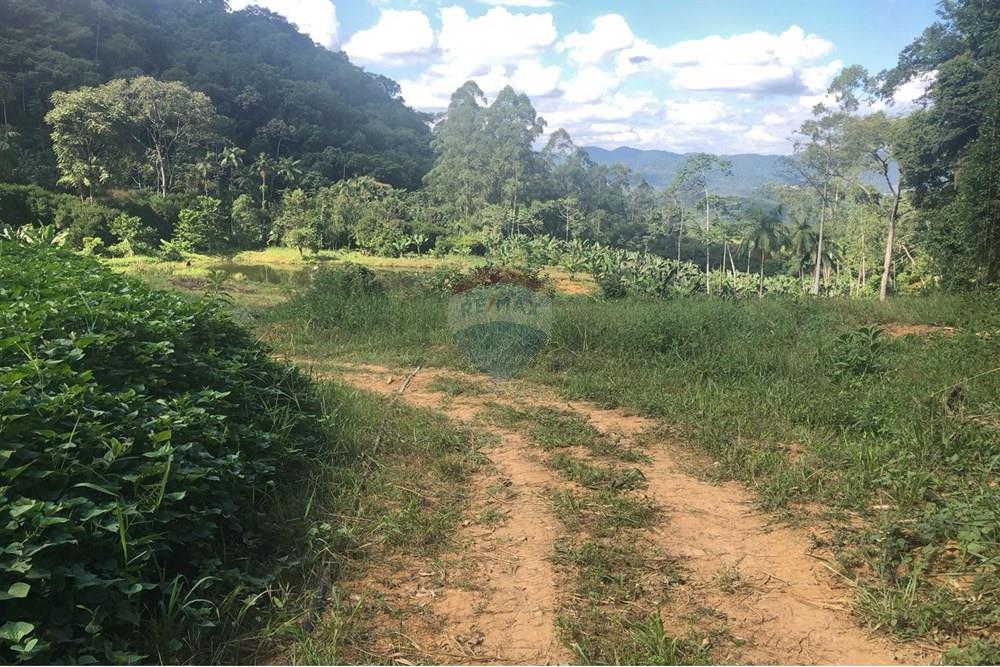 Terreno - Venda - Timbó , Santa Catarina - FOTO 03 - .JPG - 590211051-24