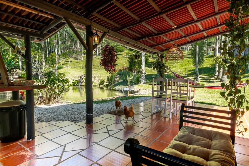 Chácara / Sítio / Fazenda - Venda - Benedito Novo , Santa Catarina - _DSC4184.jpg - 590301034-14