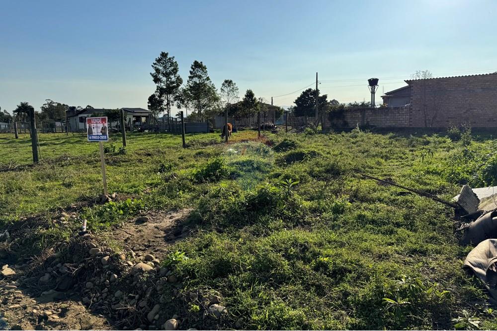 Terreno - Venda - Santa Rosa do Sul , Santa Catarina - IMG_7362.jpg - 590491012-2