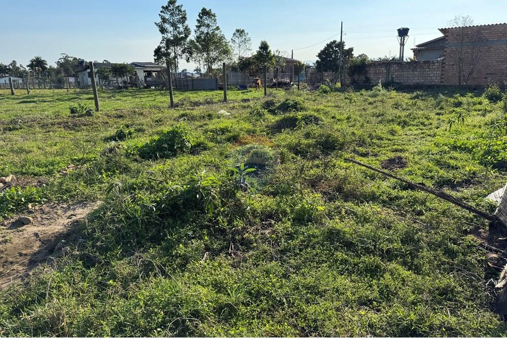 Terreno - Venda - Santa Rosa do Sul , Santa Catarina - IMG_7339.jpg - 590491012-2