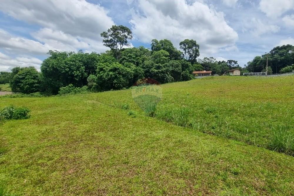 Terreno - Venda - Campo Largo , Paraná - cb156af4-90b0-4011-9320-6e634fa5f475 (1).JPG - 590481021-29