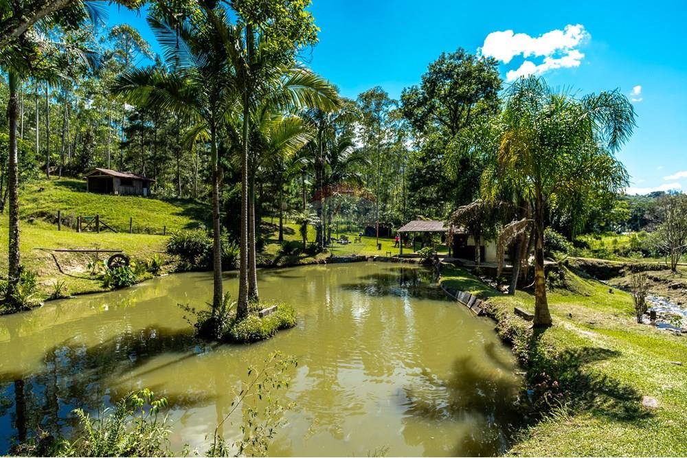 Chácara / Sítio / Fazenda - Venda - Benedito Novo , Santa Catarina - _DSC4318.jpg - 590301034-14