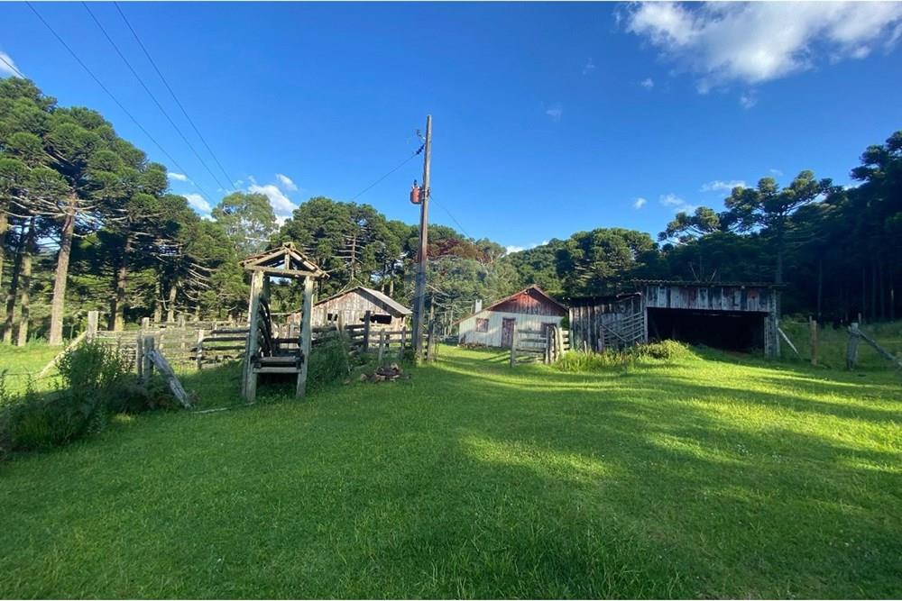 Chácara / Sítio / Fazenda - Venda - Painel , Santa Catarina - WhatsApp Image 2025-05-09 at 11.33.20 (3).jpeg - 590071044-16