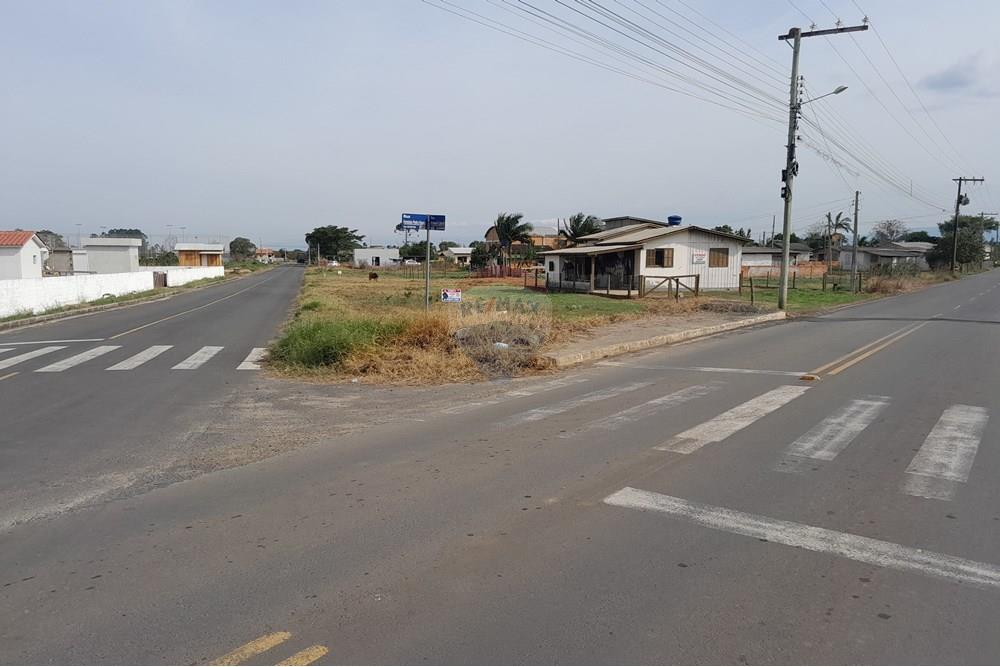 Terreno - Venda - Santa Rosa do Sul , Santa Catarina - 20250726_133641.jpg - 590491005-21