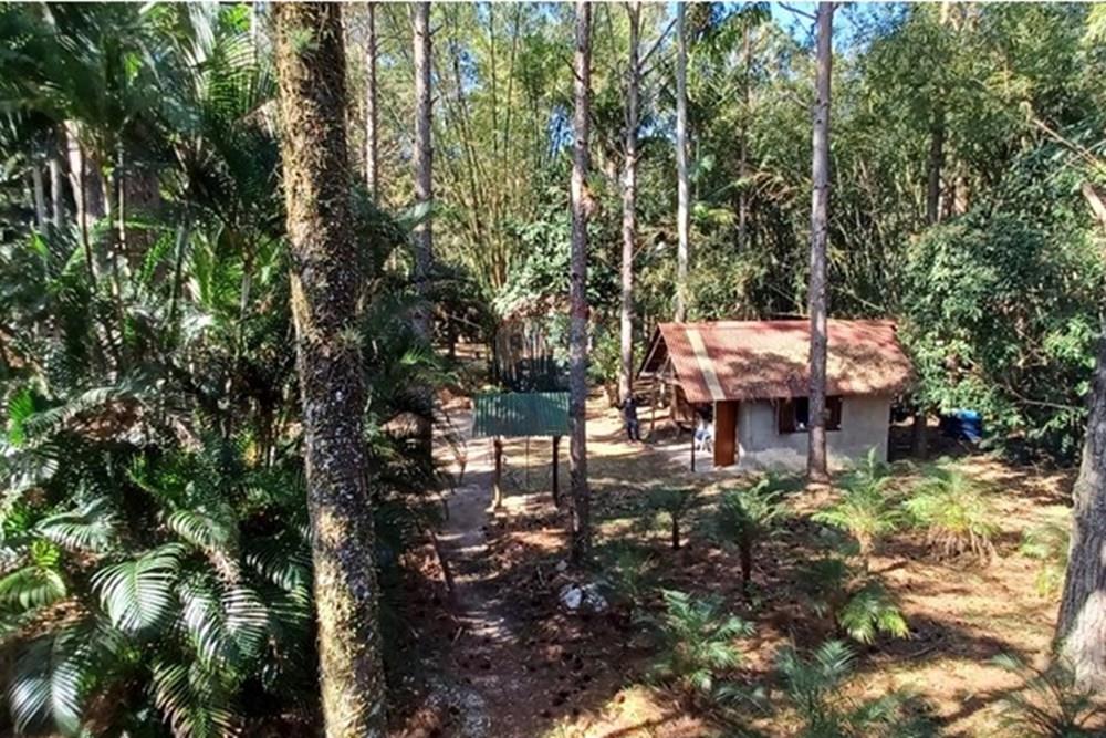 Terreno - Venda - Florianópolis , Santa Catarina - PHOTO-2025-05-15-17-03-21 (1).jpg - 590101001-59