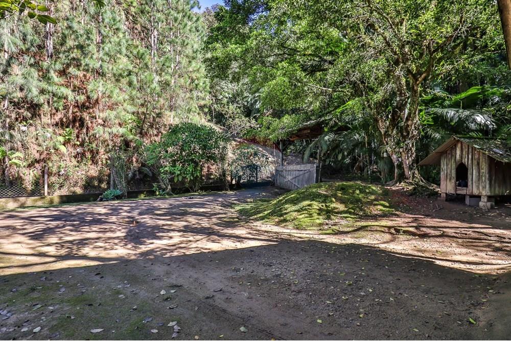 Chácara / Sítio / Fazenda - Venda - Timbó , Santa Catarina - FOTO PRO 02 - .JPG - 590211051-38