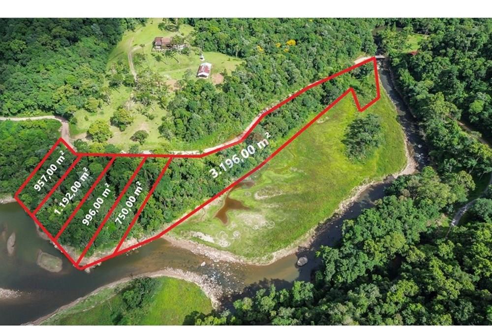 Terreno - Venda - Rio dos Cedros , Santa Catarina - FOTO 11 PRO - .JPG - 590211051-12