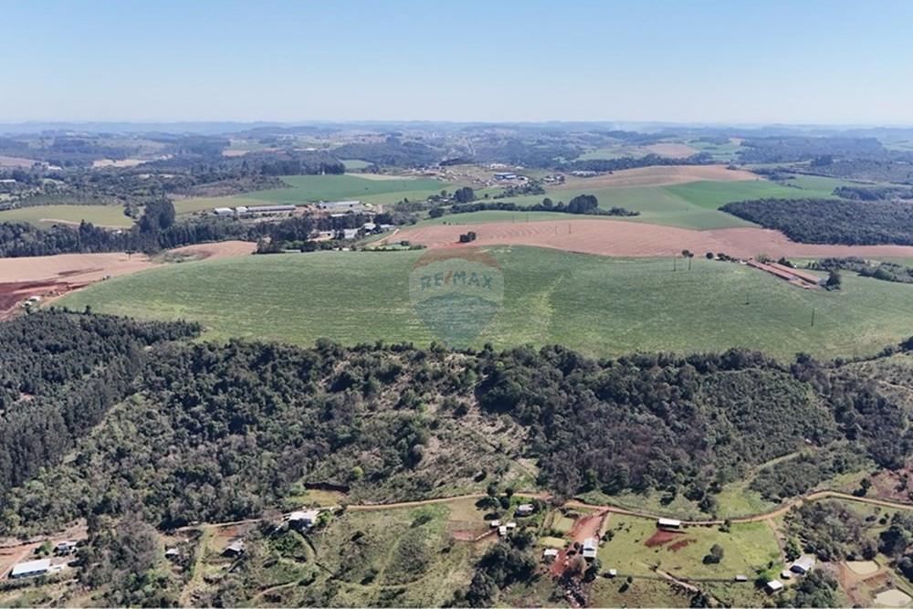 Chácara / Sítio / Fazenda - Venda - Xaxim , Santa Catarina - DJI_20250912142747_0156_D.JPG - 590421017-6