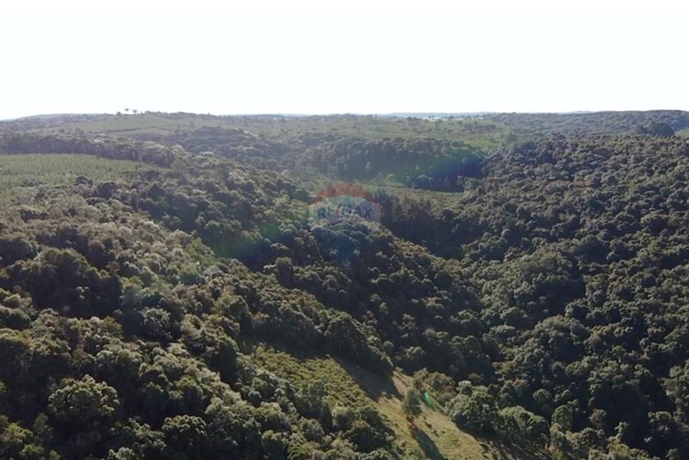 Chácara / Sítio / Fazenda - Venda - Capão Alto , Santa Catarina - WhatsApp Image 2025-07-16 at 2.09.03 PM (3).jpeg - 590071044-10