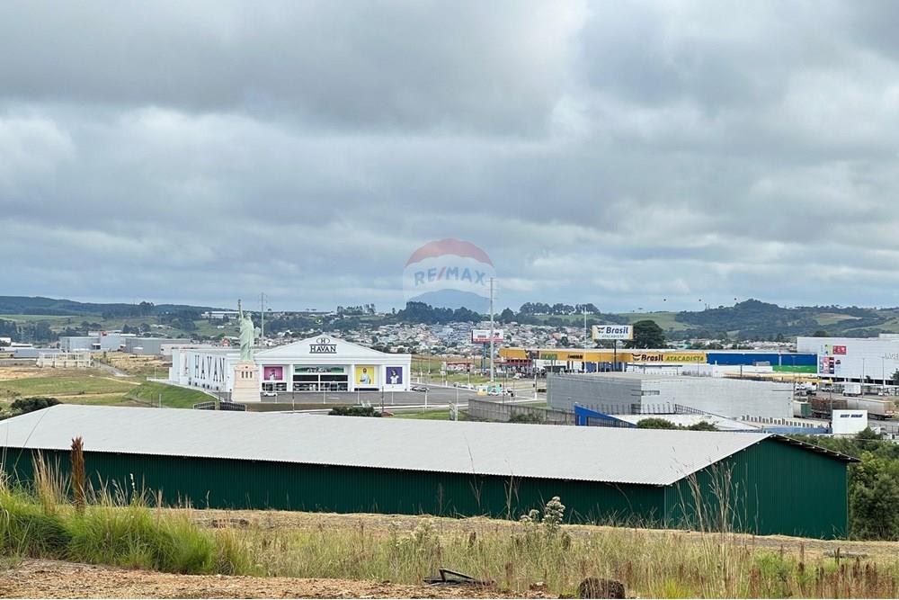 Galpão - Alugar - Lages , Santa Catarina - 1af66b17-62dc-4b3c-8038-aad3a74d6cf1.jpeg - 590071036-83