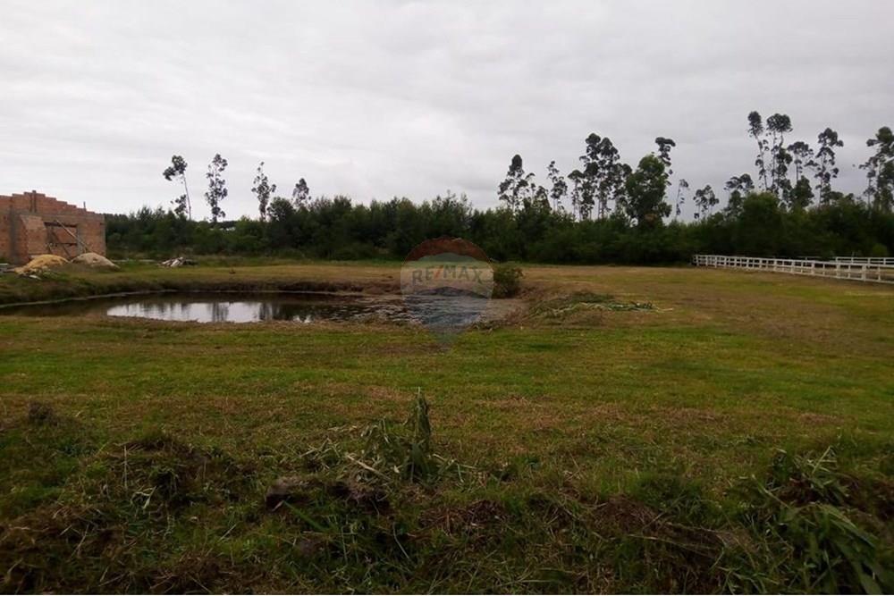 Terreno - Venda - São João do Sul , Santa Catarina - Imagem do WhatsApp de 2025-07-28 à(s) 13.53.42_bc4d73f6.jpg - 590491005-24