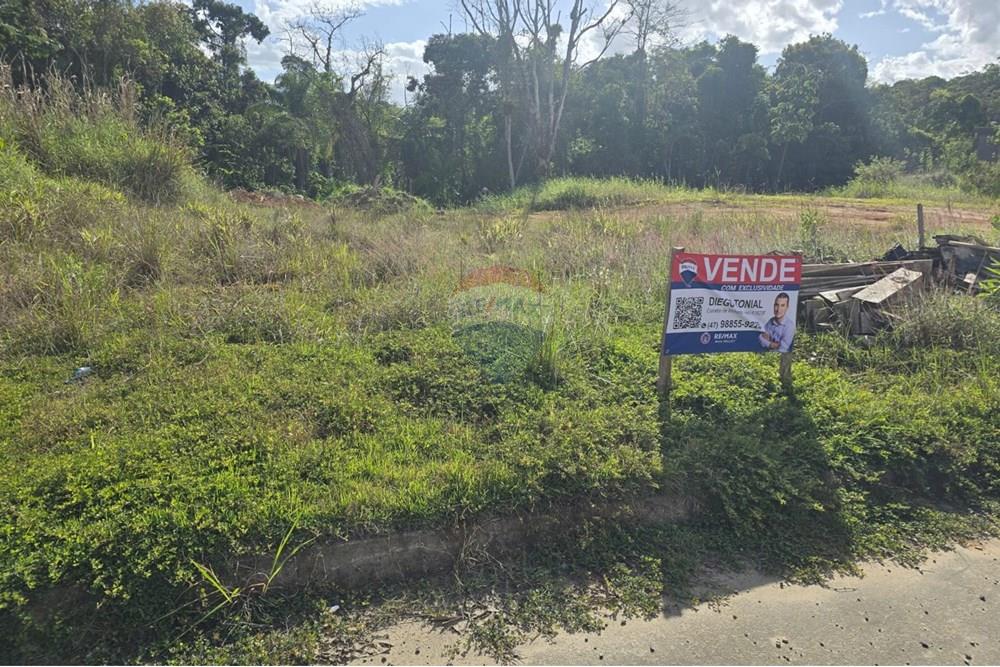 Terreno - Venda - Indaial , Santa Catarina - WhatsApp Image 2025-10-23 at 10.24.24 (4).jpeg - 590211033-74