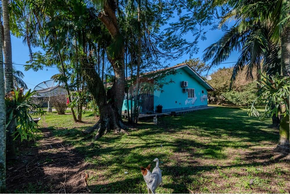 Terreno - Venda - Tijucas , Santa Catarina - IMG_9890.jpg - 590531034-1