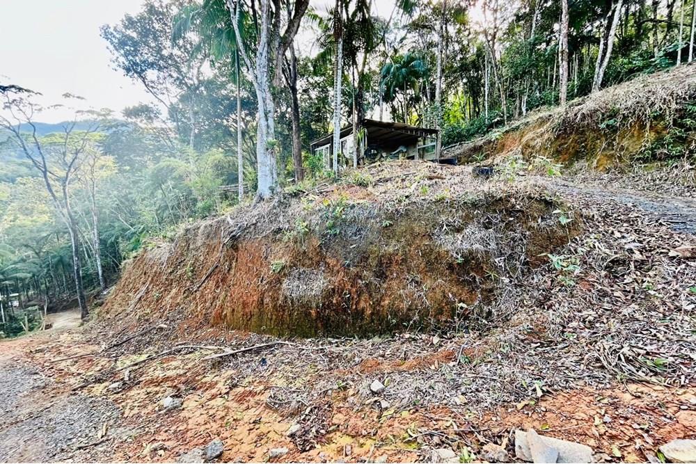 Chácara / Sítio / Fazenda - Venda - Itapema , Santa Catarina - WhatsApp Image 2025-07-14 at 16.25.21.jpeg - 590401053-3