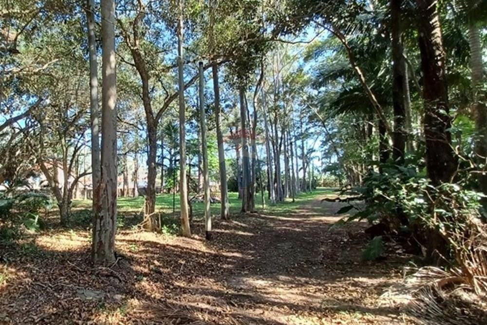 Terreno - Venda - Florianópolis , Santa Catarina - PHOTO-2025-05-15-17-03-20 (1).jpg - 590101001-59