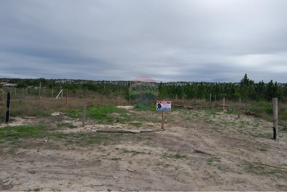 Terreno - Venda - Balneário Gaivota , Santa Catarina - 20250608_100142.jpg - 590491005-26