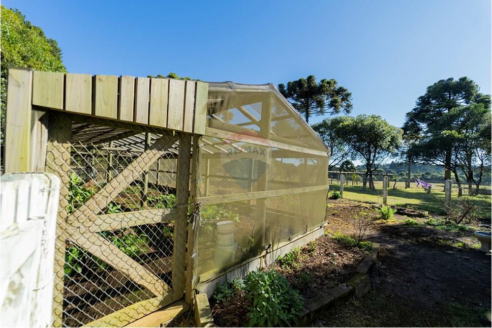 Chácara / Sítio / Fazenda - Venda - Capão Alto , Santa Catarina - DSC03799.jpg - 590071002-440