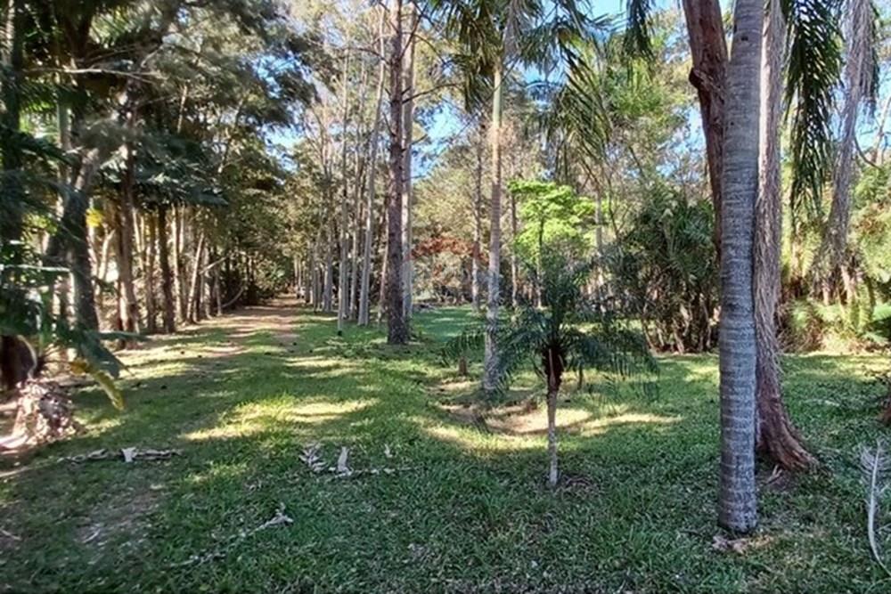 Terreno - Venda - Florianópolis , Santa Catarina - PHOTO-2025-05-15-17-03-19 (3).jpg - 590101001-59