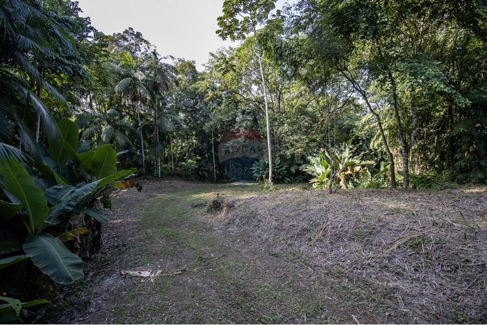 Terreno - Venda - Timbó , Santa Catarina - WhatsApp Image 2025-05-06 at 20.16.28 (2).jpeg - 590211046-8