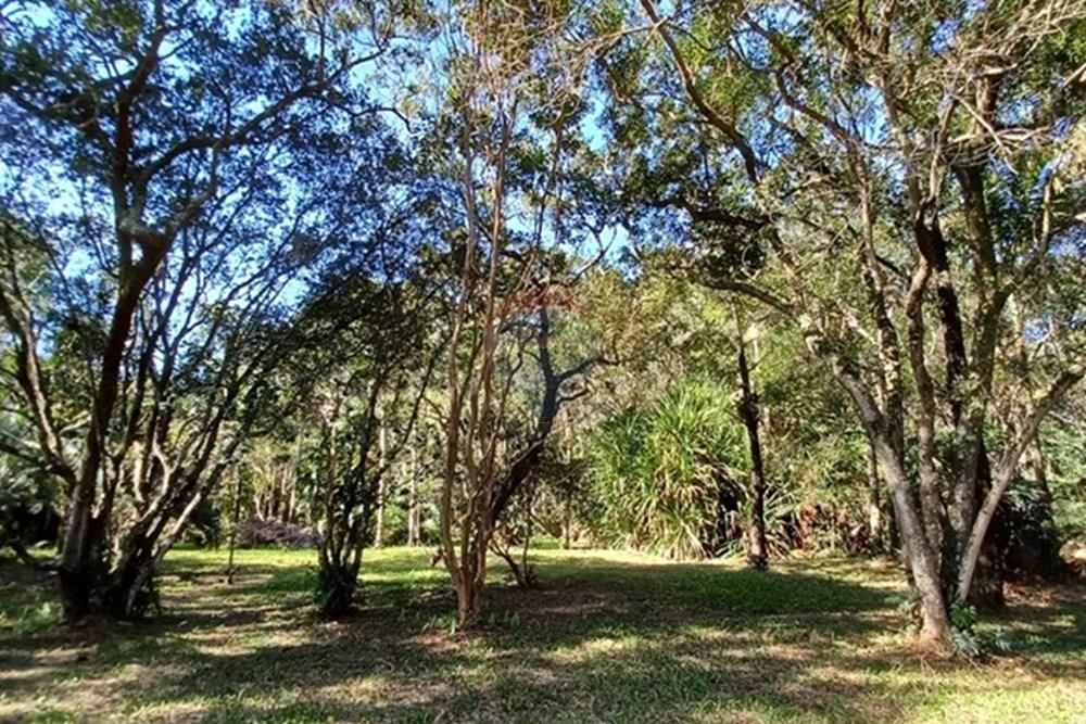 Terreno - Venda - Florianópolis , Santa Catarina - PHOTO-2025-05-15-17-03-25 (4).jpg - 590101001-59