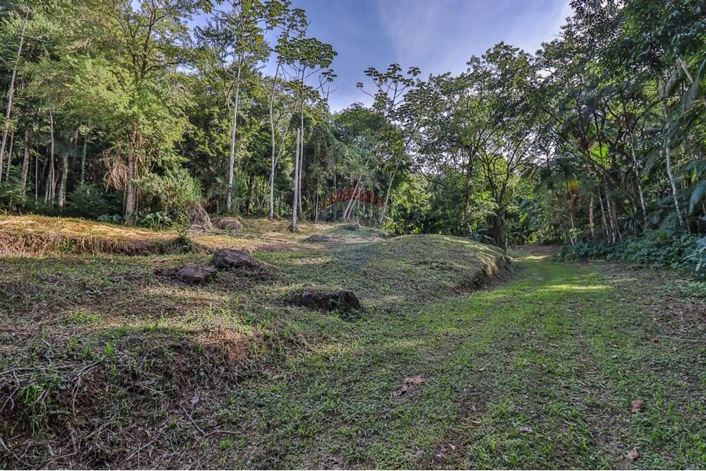 Terreno - Venda - Timbó , Santa Catarina - WhatsApp Image 2025-05-06 at 20.16.29 (1).jpeg - 590211046-8