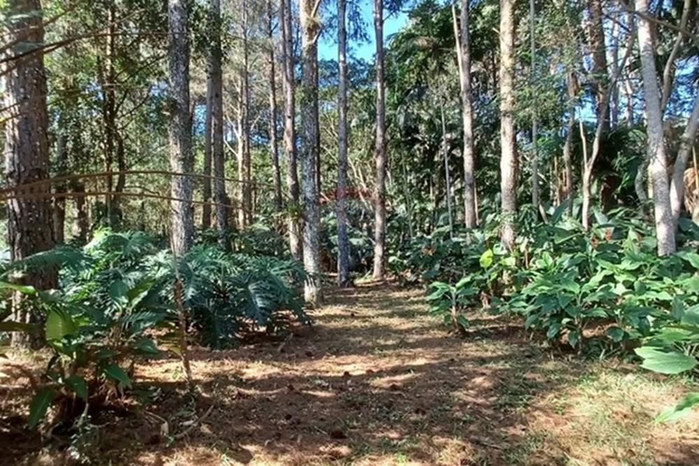 Terreno - Venda - Florianópolis , Santa Catarina - PHOTO-2025-05-15-17-03-23 (2).jpg - 590101001-59