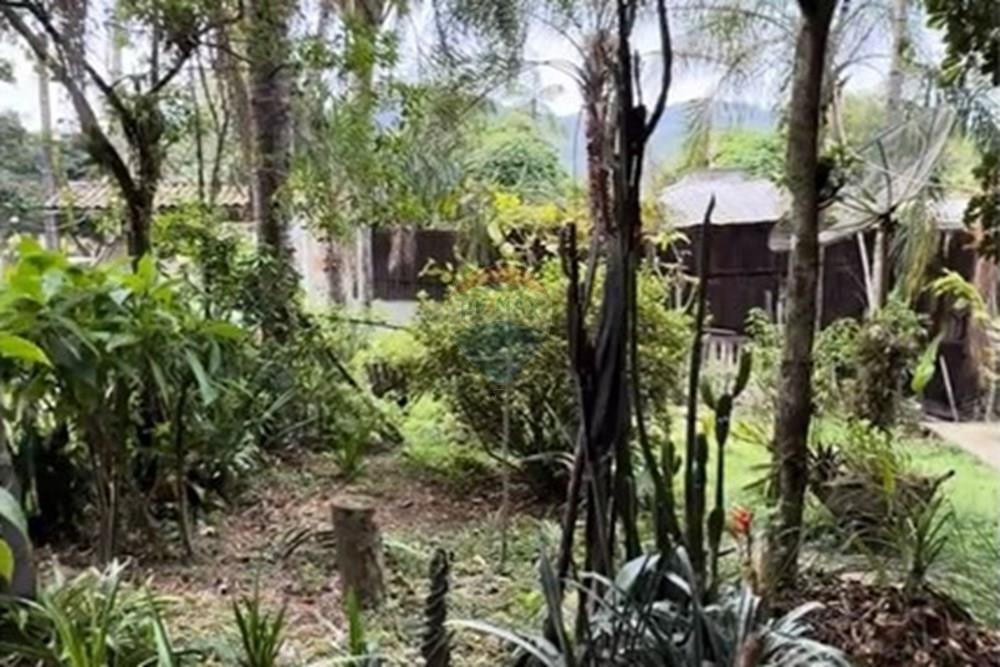 Terreno - Venda - Gravatal , Santa Catarina - WhatsApp Image 2025-10-20 at 17.32.56 (2).jpeg - 590461027-11