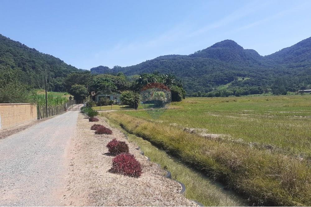 Chácara / Sítio / Fazenda - Venda - Timbó , Santa Catarina - FOTO 02 - .JPG - 590211051-17