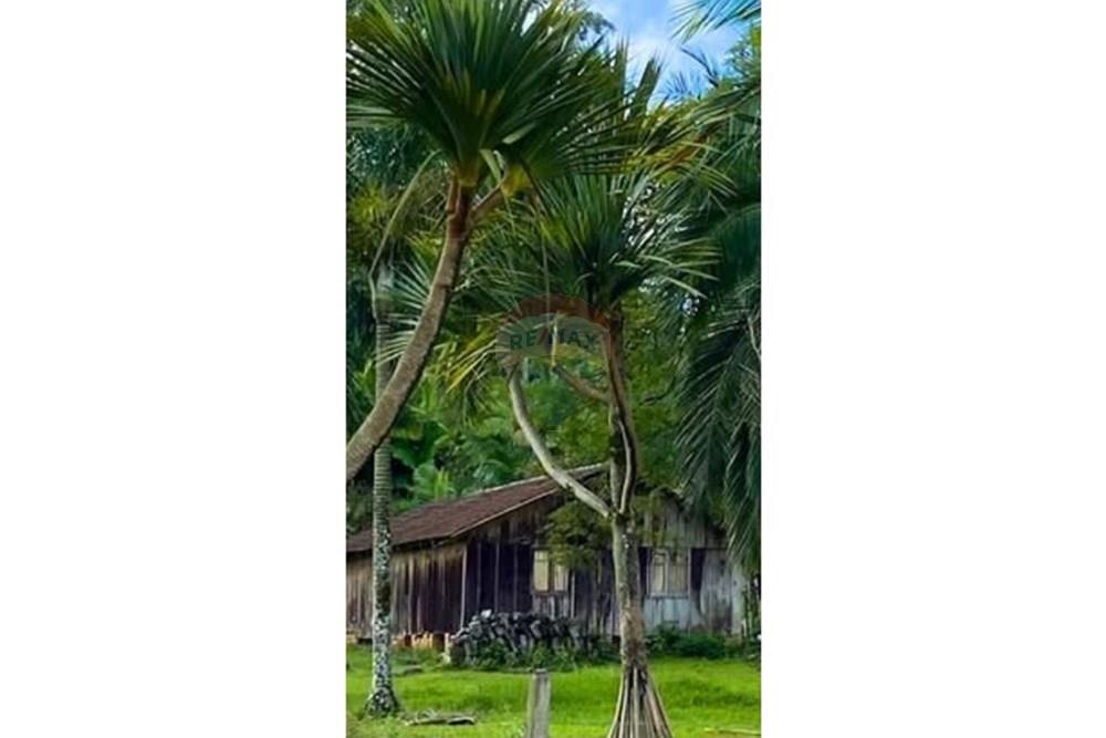 Chácara / Sítio / Fazenda - Venda - Jaraguá do Sul , Santa Catarina - WhatsApp Image 2025-09-16 at 09.32.35 (9).jpeg - 590451031-26