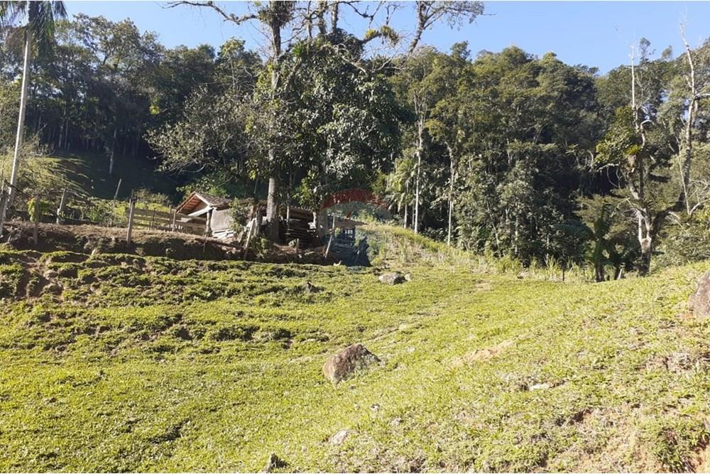 Chácara / Sítio / Fazenda - Venda - Rodeio , Santa Catarina - WhatsApp Image 2025-09-23 at 17.45.01.jpeg - 590301034-21