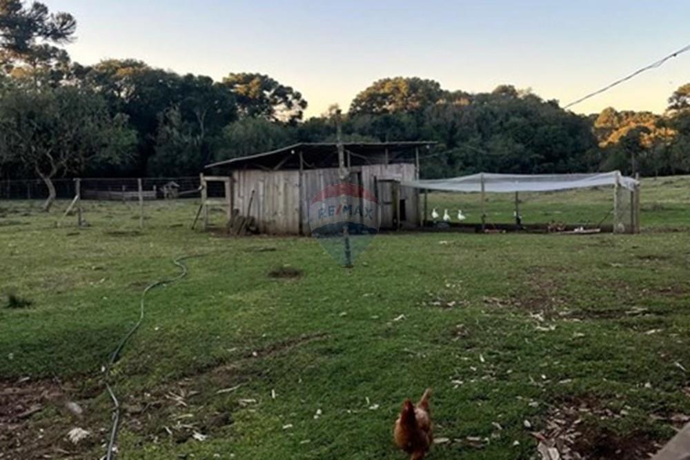 Chácara / Sítio / Fazenda - Alugar - Capão Alto , Santa Catarina - f7d01139-c7d1-4246-a156-97713ae05bb4.jpg - 590071036-109