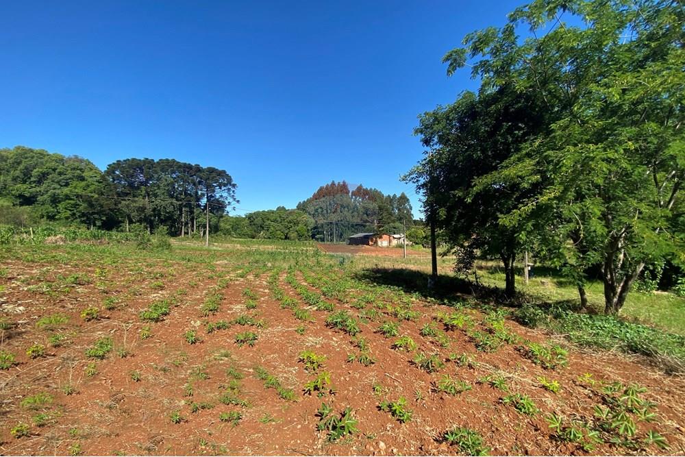 Terreno - Venda - Xaxim , Santa Catarina - 1.jpg - 590421016-5