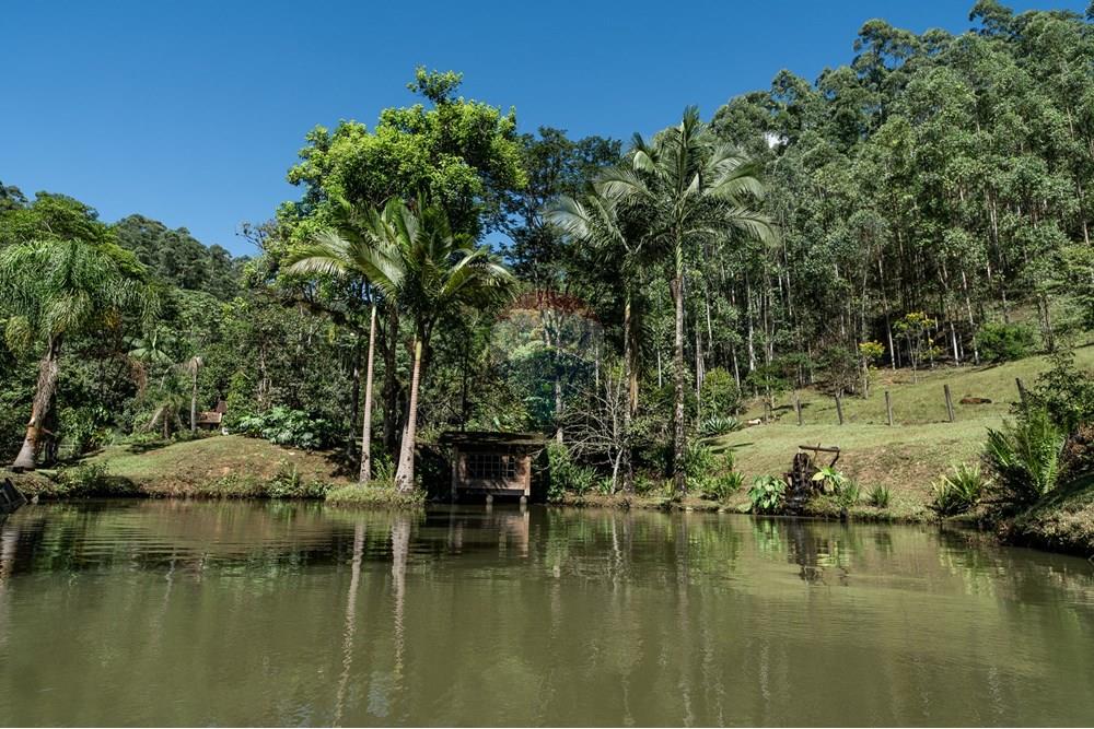 Chácara / Sítio / Fazenda - Venda - Benedito Novo , Santa Catarina - _DSC4029.jpg - 590301034-14