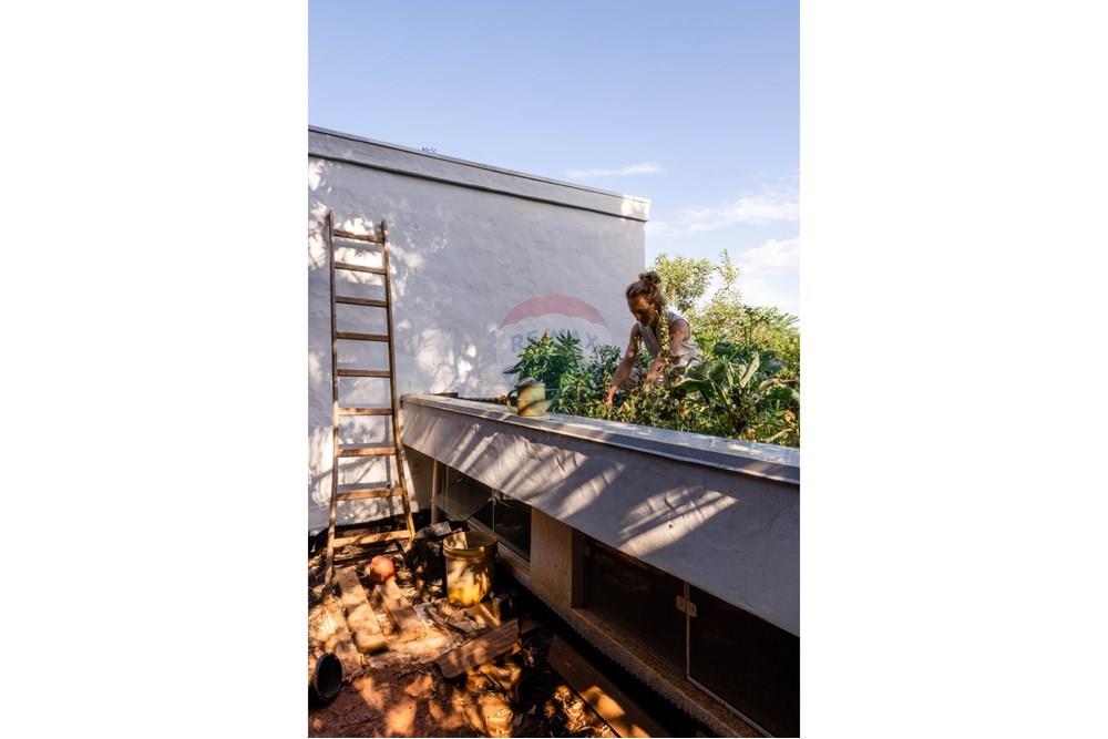 Casa - Venda - Florianópolis , Santa Catarina - 9085f670-58fa-45e3-ade5-1528d6e6ef3b.jpeg - Jardim Externo - 590101001-60